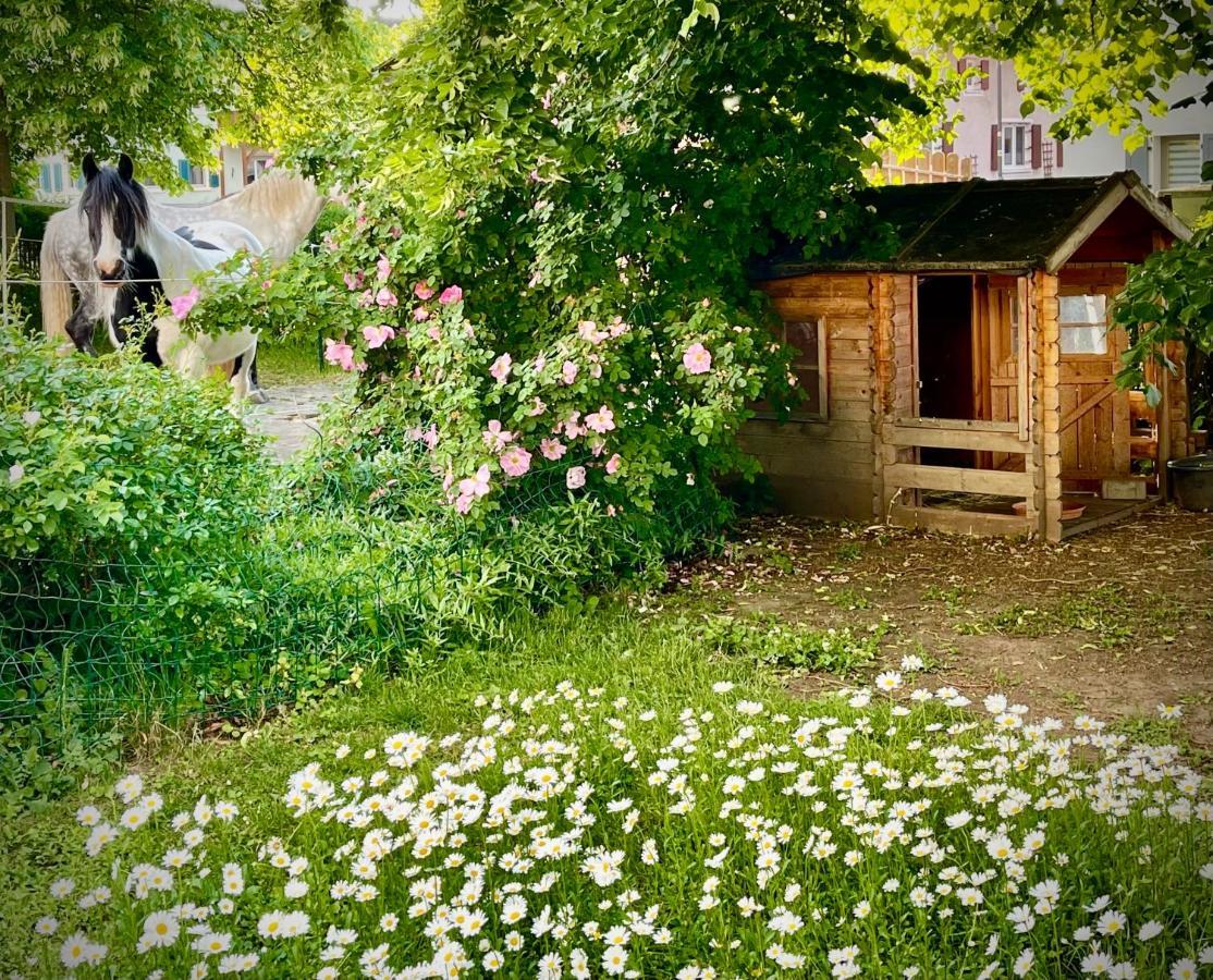 Apartament Rohrachhof Treuchtlingen Zewnętrze zdjęcie